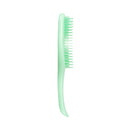 TANGLE TEEZER The Wet Detangler Hairbrush, Mint Karma TANGLE TEEZER