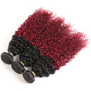 Ombre Burgundy Brazilian Curly Hair 3 Bundles with Closure, Dark Red Two Tone Curly Weave Human Hair Extensions, 99j Afro Kinki Curl Hair Weaving (16"18"20"+Closure14") ALISFEEL