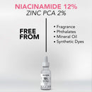 Niacinamide 12% Plus Zinc 2% Serum for Face - Skin Balancing Pore Reducing Face Serum for Combination and Oily Skin, Minimizes Large Pores 1oz Hollywood Skincare