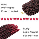 1 Pack Spring Twist Braiding Hair Spring Twists Bomb Twist Hair Synthetic Fiber Fluffy Twist Crochet Braids Low Temperature Twist Crochet Hair for Black Women Braiding Hair(12inch,T1B/350) LIYATE Store