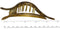 Parcelona France Wide Beak Celluloid Large Side Slide Hair Clips Volume Strong Hold No Slip Grip Girls Hair Claw Clips for Women Durable Styling Paris Hair Accessories, Made In France (Light Shell) Parcelona