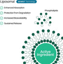 Liposomal Vitamin D3 + K2 Gummies - Mixed Berry Flavor, High Absorption Vitamin D3 5000 IU & Vitamin K2 MK-7 100 mcg, Supports Bone Health, Muscles, Teeth and Joints, Non-GMO, 30 Servings Infinity Warehouse