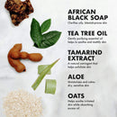 SheaMoisture Bath Face Skin care Kit Body Cleanser for Dull Skin African Black Soap Made with Fair Trade Shea Butter, Aloe Vera, 3 Count SheaMoisture