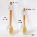 Shower Brush - 20 inch - Long Handle Bath Brush for Exfoliating, Detachable Natural Bristle Back Scrubber. Men Love This! Use Wet or Dry – Makes a Great Gift (Firm) rengöra