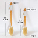 Shower Brush - 20 inch - Long Handle Bath Brush for Exfoliating, Detachable Natural Bristle Back Scrubber. Men Love This! Use Wet or Dry – Makes a Great Gift (Firm) rengöra