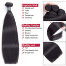 Amella Hair Brazilian Virgin Hair Straight 3 Bundles with Closure 4x4 Free Part Human Hair Bundles with Closure Natural Black Color(16" 18" 20"+16"Closure) Amella Store