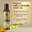 Life & Pursuits Amla Brahmi Hair Oil for Hair Growth - 3.38 Oz Organic & Natural Hair Oil with Coconut, Castor, and Sesame for Healthy & Shiny Hair Life & Pursuits
