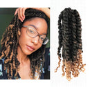 2 Packs Passion Twist Crochet Hair 10 inch Short Bohemian Braids Synthetic Hair Extensionsns (10Inch2Pcs, T27) LEONYERI Store