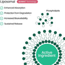 Haroutine Liposomal Hair, Skin & Nails Gummies, 2500 mcg Liposomal Biotin, 1200 mcg Vitamin A, 2 mg Vitamin E, Healthy Hair, Nail Strengthener, Skin Support - 30 Servings Raspberry Rose Flavor Infinity Warehouse