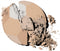 Physicians Formula Powder Palette Multi-Colored Pressed Powder Translucent Physicians Formula