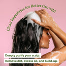 Just Nutritive Onion & Rosemary Shampoo for Hair Growth, Thickening, Strengthening - Sulfate-Free, Enriched with Red Onion Oil, Rosemary Oil, Tea Tree - 16 oz Infinity Warehouse