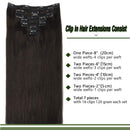 GOO GOO Clip in Hair Extensions Human Hair Dark Brown 20 Inch 120g 7pcs Remy Hair Extensions Real Natural Hair Straight Thick GOO GOO Store