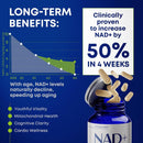 NAD+ Supplement with Nicotinamide Riboside, Trans Resveratrol & Quercetin – NAD Plus Complex for Energy, Brain & Mitochondrial Support – Antioxidant and Longevity Formula for Women & Men – 60 capsules Infinity Warehouse