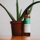 Aloe Vera Gel - Aloe Vera Plant for After Sun Lotion, Pure Aloe Vera Gel for Skin Care, Aloe Gel is Best for Face, Hair & Soothing Skincare Beauty by Earth