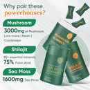 Bundle of Shilajit, Sea Moss & Mushroom Gummies with Lions Mane, Reishi, Cordyceps, Ashwagandha, 75%+ Fulvic Acid, 92+ Minerals All in 1 Supplements (1 Pack) Infinity Warehouse