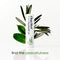 ChapStick Total Hydration Essential Oils Peace Lip Balm, Rosemary + Peppermint Lip Balm Tube, Lip Care - 0.12 Oz Chapstick