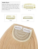 ROSEBUD Bangs Hair Clip in Bangs Hair Extensions Synthetic Flat Bang with Temples Front Face Fringe Bangs Hair Pieces for Women Rose bud
