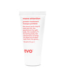 EVO Mane Attention Protein Treatment ACE
