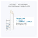 Bioderma - Atoderm - Lip Stick - Hydrating, Soothing and Renewing Lip Stick - for Dry Lips martinandmark.com