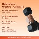 Bear Balanced Creatine Gummies for Men & Women - Creapure® Creatine Monohydrate, L-Theanine, L-Tyrosine & B12 for Muscle Growth, Strength, Focus, Energy & Health - Low Calorie, Sugar-Free, & Vegan Infinity Warehouse