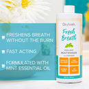 Oxyfresh Fresh Breath Fresh Mint Mouthwash – Dentist Recommended for Long-Lasting Fresh Breath & Healthy Gums | Alcohol & Fluoride Free (1-16 oz Bottle) Oxyfresh