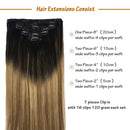 Doores Hair Extensions Clip in Human Hair Ombre Natural Black to Chestnut Brown and Honey Blonde Remy Clip in Human Hair Extensions Straight 120g 7pcs 20 Inch Doores