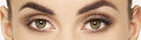 Liquid Magnetic Eyeliner & Volume Lash System By Eylure - The Promagnetic Eyeliner & Lash System Allows You To Apply Magnetic Volume Lashes With ease – No Need for Glue! Eylure
