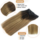 Doores Hair Extensions Clip in Human Hair Ombre Natural Black to Chestnut Brown and Honey Blonde Remy Clip in Human Hair Extensions Straight 120g 7pcs 20 Inch Doores