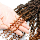 6 Packs Bomb Twist Crochet Hair 14 Inch Spring Twist Crochet Braids Pre-looped Mini Passion Twist Braiding Hair Senegalese Spring Twist Nubian Twist Kinky Curly Synthetic Hair Extensions (T30