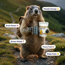 Instant Mushroom Coffee Arabica - Lion’s Mane, Cordyceps, Reishi, Chaga – Alpha-GPC & L-Tyrosine, B12 & B3 – Better Energy, Focus, Digestion & Immunity – Made in USA – 30 Servings Infinity Warehouse