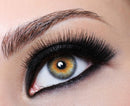 Extra Strong Eyelash Extension Glue - Stacy Lash (0.17fl.oz / 5ml) / 0.5-1 Sec Drying time/Retention – 7 Weeks/Maximum Bonding Power/Professional Use Only Black Adhesive/for Semi-Permanent Extensions STACY LASH