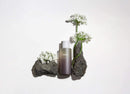 [Haruharu Wonder] Black Rice Hyaluronic Toner - Anti-oxidation and Nourishing, 5.1 fl oz (150ml), 95% natural ingredients, EWG green scored on key ingredients, 600 ppm of Hyaluronic acid, Lavender oil HARUHARU