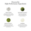 Ogee Sculpted Skin-Perfecting Makeup Setting Powder - Sand - FULL SET (Case & Refill) - Lightweight Powder Foundation Made with 70% Organic Ingredients Infinity Warehouse