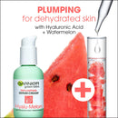 Garnier SkinActive Green Labs Hyalu-Melon Replumping Serum Cream Moisturizer with SPF 30 and Hyaluronic Acid + Watermelon and Trial Size Micellar Cleansing (In Carton) (Packaging May Vary) Garnier