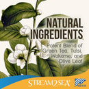 Stream2Sea Leave-in Hair Conditioner with Conditioning Shampoo & Body Wash - Natural, UV Absorbent Paraben-Free Hair Care - Conditions, Detangles & Cleanses Hair & Body - Sulfate Free & Paraben Free STREAM 2 SEA