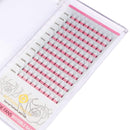 BEYELIAN Volume Fans Invisible Base Wider Fans Lash Extensions Semi Permanent 0.07mm D Curl 6D Premade Fan Lashes Soft Short Stem Eyelash Extensions Prefanned Lashes(0.07 D 10mm) BEYELIAN