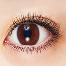 Shiseido Majolica Majorca Lash Expander Edge Meister Japan Mascara Black F Bk999 Shiseido