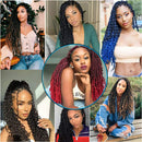 6 Pack Passion Twist Hair 14 Inch Ombre Burgundy Passion Twist Crochet Hair Synthetic Fiber Water Wave Crochet Hair for Butterfly Soft Locs Braidig Hair Extensions (14'', Tbug