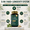 Otium NAD+ Supplement for Women & Men - 1000mg Nicotinamide Riboside with TMG, Resveratrol, Quercetin & Urolithin A | NAD Booster for Cellular Energy, Healthy Aging & Metabolism | 90 Vegan Capsules Infinity Warehouse