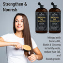 Batana Oil Shampoo and Conditioner - Fights Hair Loss, Promotes Hair Growth, Fights Dandruff, Lice & Itchy Scalp - for Men and Women Sulfate Free - 16 fl oz x 2 Infinity Warehouse