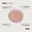 V14 Daily Longevity Reds Powder – Clean Wellness Formula with NMNH, Spermidine, Magnesium & Antioxidants | 30 Servings Pouch Infinity Warehouse