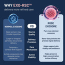 ASCE+ Exosome Ampoule Pro – 5 Weeks Intensive Skin rejuvenating care with 70,000ppm Ultra-High Concentration Rose Exosome, Hydrating & Skin Glow, Boosts Collagen, Wrinkle & Pigmentation Care Infinity Warehouse