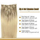 GOO GOO Clip in Hair Extensions Ombre Ash Blonde to Golden Blonde and Platinum Blonde Remy Human Hair Extensions Clip in Real Natural Hair Extensions Straight Thick 120g 14 Inch GOO GOO