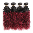 Ombre Dark Red Curly Weave Human Hair 4 Bundles 99J Brazilian Curly Hair 100g/Bundles Burgundy Kinky Curly Human Hair Extensions for Black Women (14"16"18"20") ALISFEEL