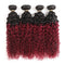 Ombre Dark Red Curly Weave Human Hair 4 Bundles 99J Brazilian Curly Hair 100g/Bundles Burgundy Kinky Curly Human Hair Extensions for Black Women (14"16"18"20") ALISFEEL