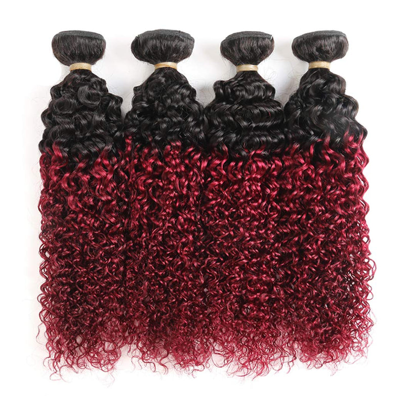 Ombre Dark Red Curly Weave Human Hair 4 Bundles 99J Brazilian Curly Hair 100g/Bundles Burgundy Kinky Curly Human Hair Extensions for Black Women (14"16"18"20") ALISFEEL