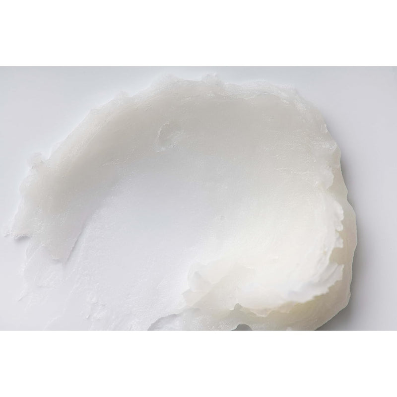 Burt's Bees Lip Balm - Berry Agua Fresca, Dragonfruit Lemon, Coconut & Pear, Tropical Pineapple Pack, With Beeswax, Tint-Free, Natural Origin Lip Treatment, 4 Tubes, 0.15 oz. Infinity Warehouse