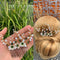 Yean Bride Flower Wedding Hair Comb Silver Bridal Hair Piece Pearl Hair Accessories for Women and Girls Yean