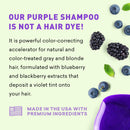 Just Nutritive Purple Toning Shampoo for Blonde, Gray, White, Silver, and Bleached Hair - Eliminate Brassiness, Boost Shine, Repairs, Hydrates, Sulfate-Free, Paraben-Free, Anti-Yellowing, 8 oz. Infinity Warehouse
