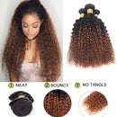 Ombre Kinky Curly Human Hair Bundle 1B/30 Brown Brazilian Hair 8A Grade Soft Human Hair Extension for Black Women 1Pcs/100g (16 Inch) Ladyrite
